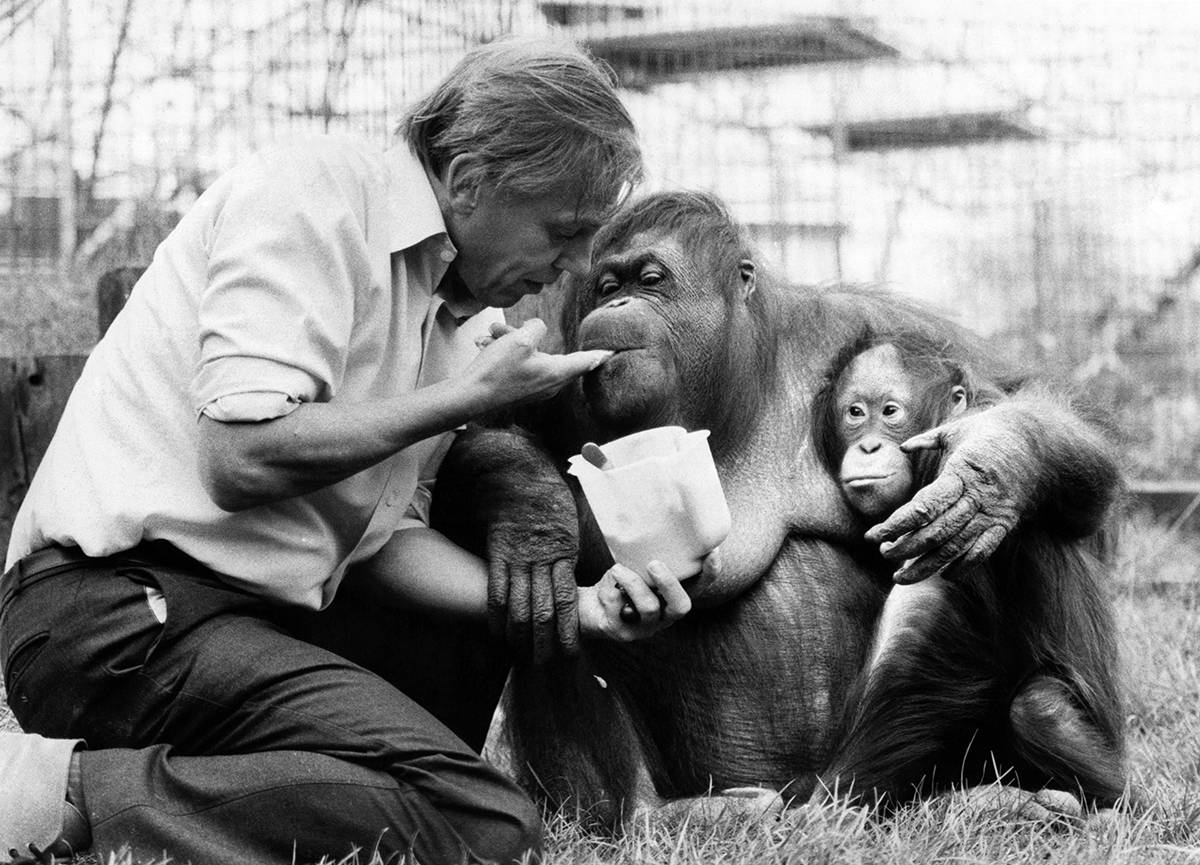 David Attenborough (Fot. Getty Images)