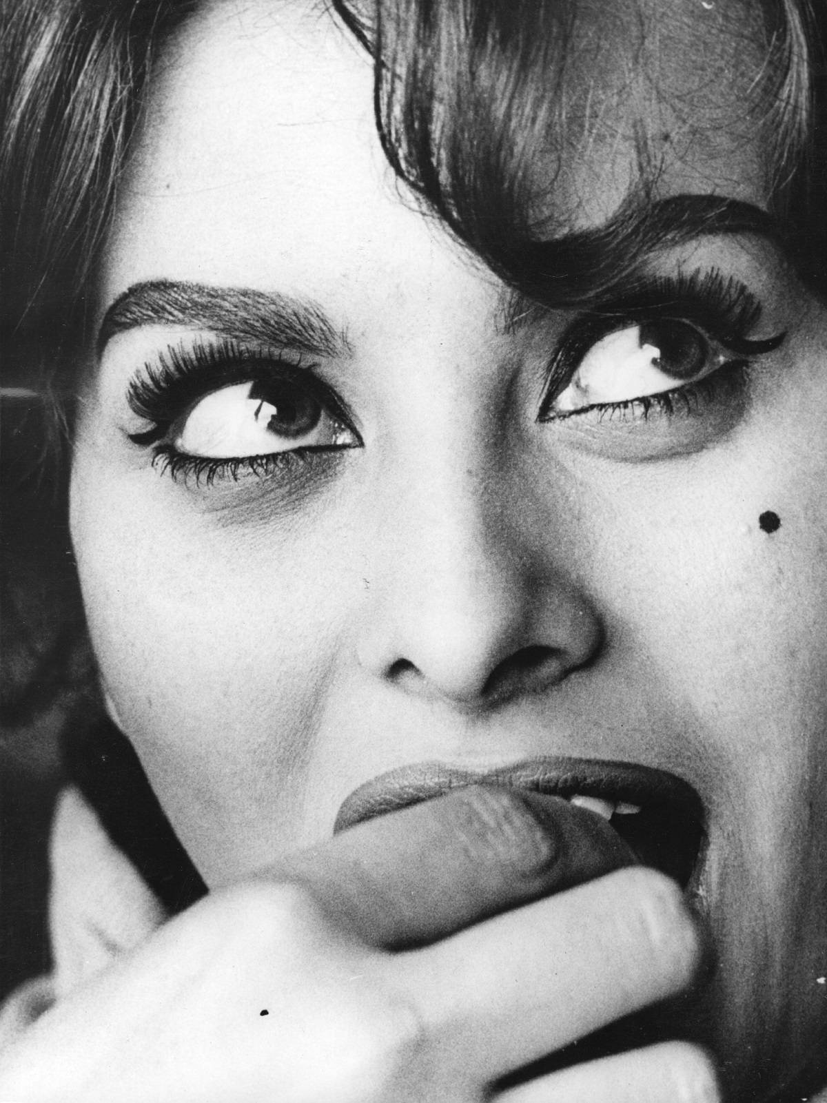 Sophia Loren w 1959 roku
