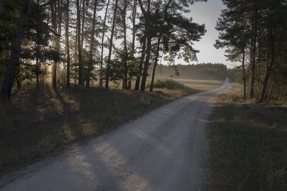 Pejzaż hi-fi - polna droga w okolicy wsi Stawiska na Kujawach (Fot. Filip Springer)
