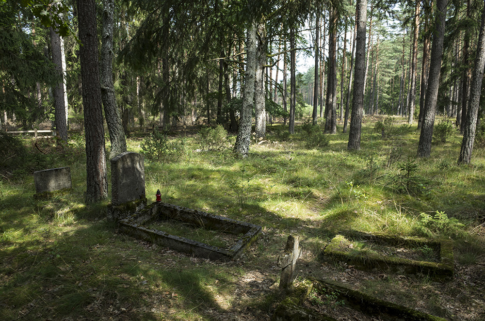 Krajobraz w okolicach Piersławka (Fot. Filip Springer)