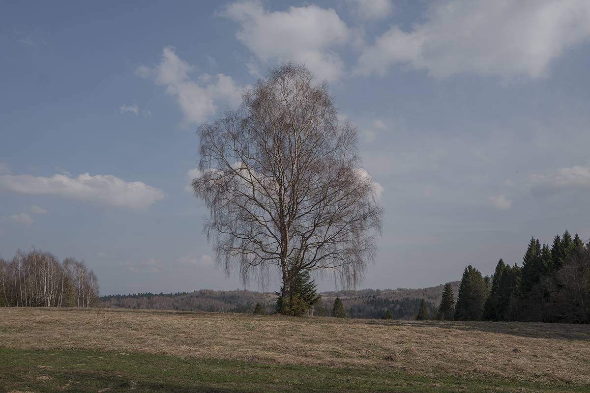 Bieszczady