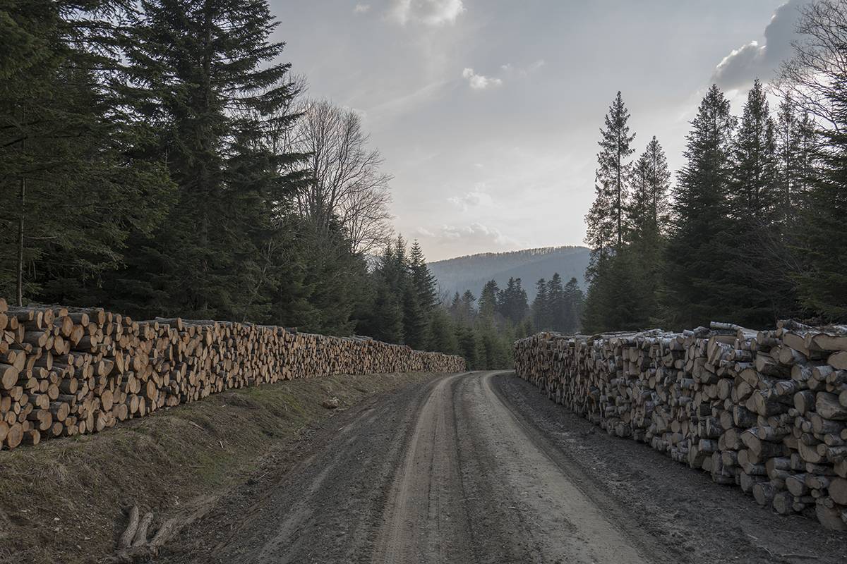 Bieszczady