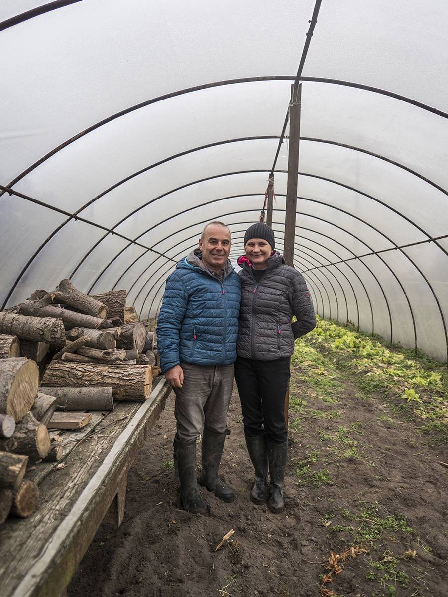 Ludwik i Jola Majlert