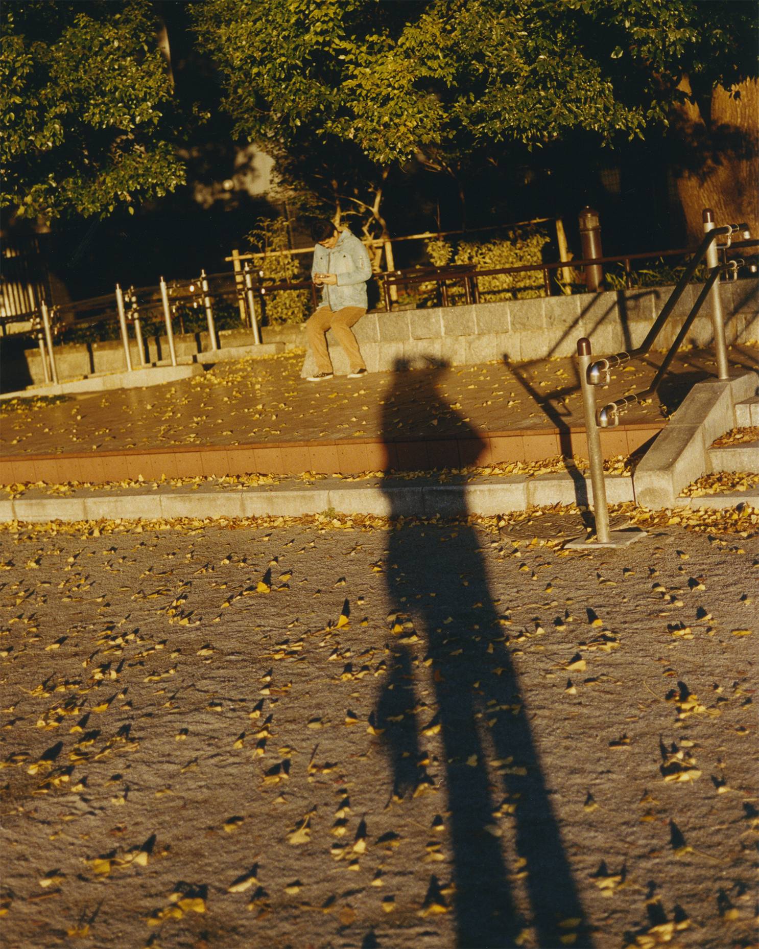 Ueno Park / Fot. Stanisław Bobrowiec Boniecki