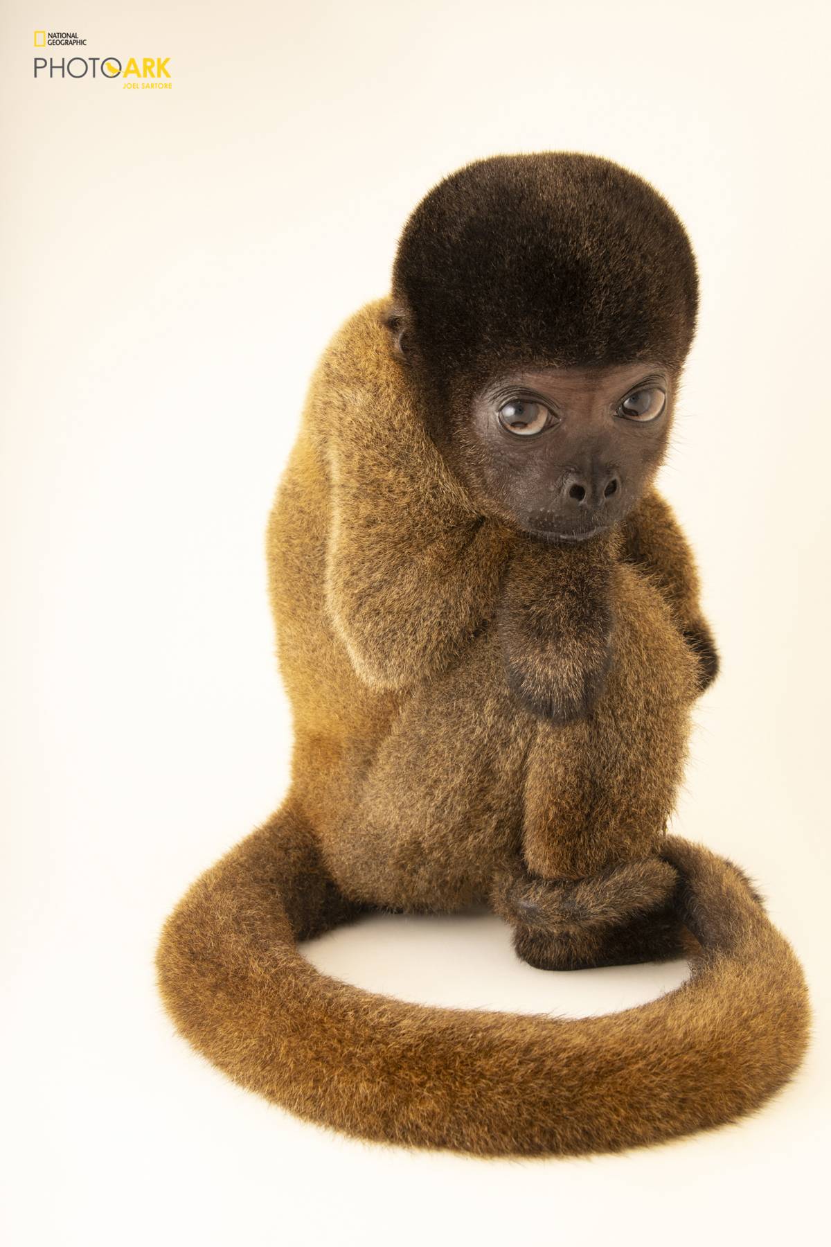 (Fot. Joel Sartore, Materiały prasowe)