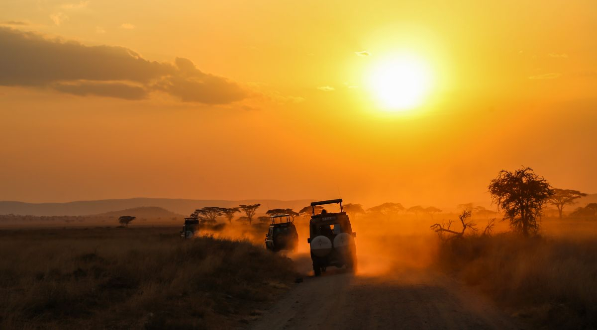 Serengeti (Fot. Sunsara)