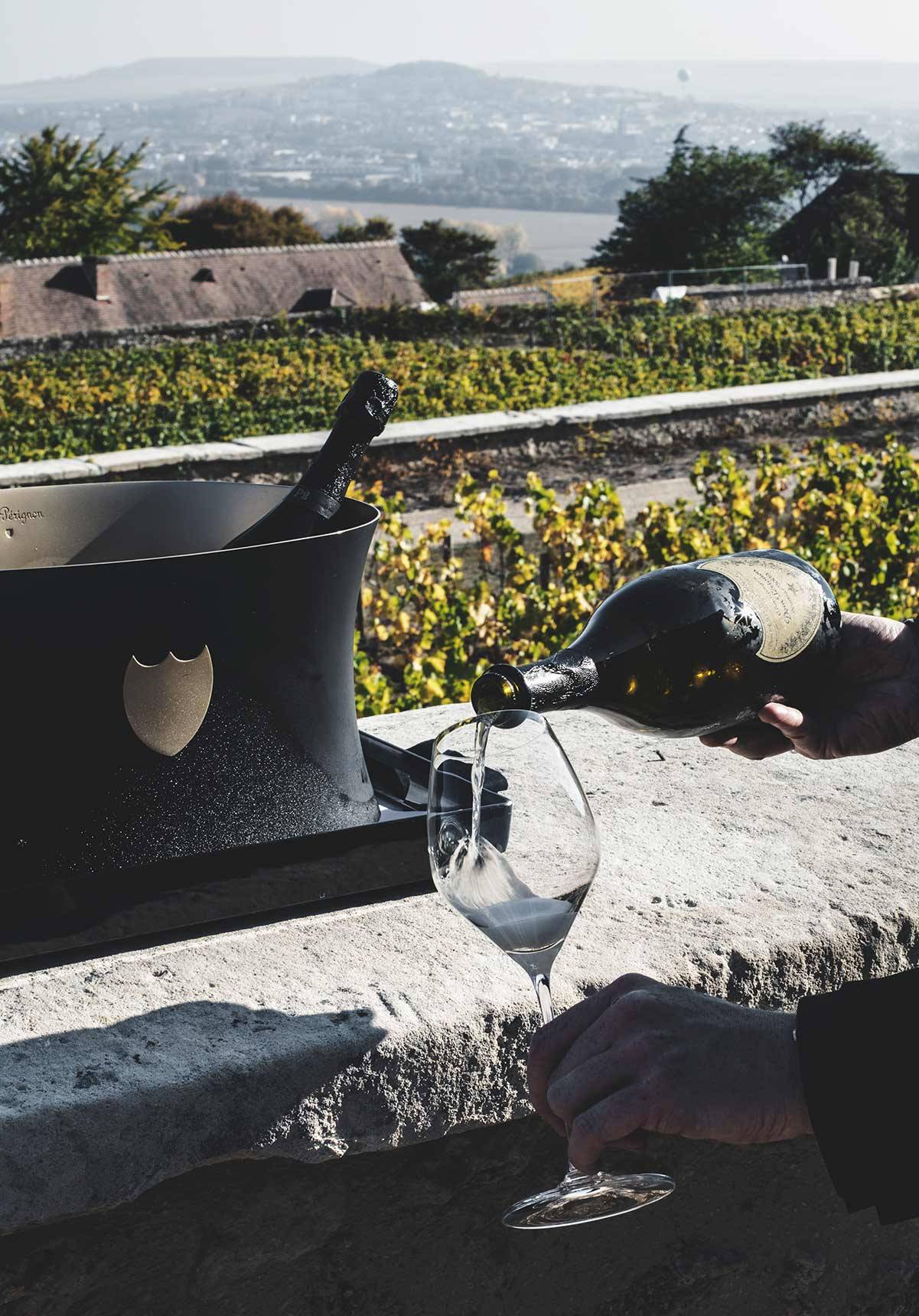 Winnica Dom Pérignon w Hautvillers (Fot. Weronika Ławniczak)