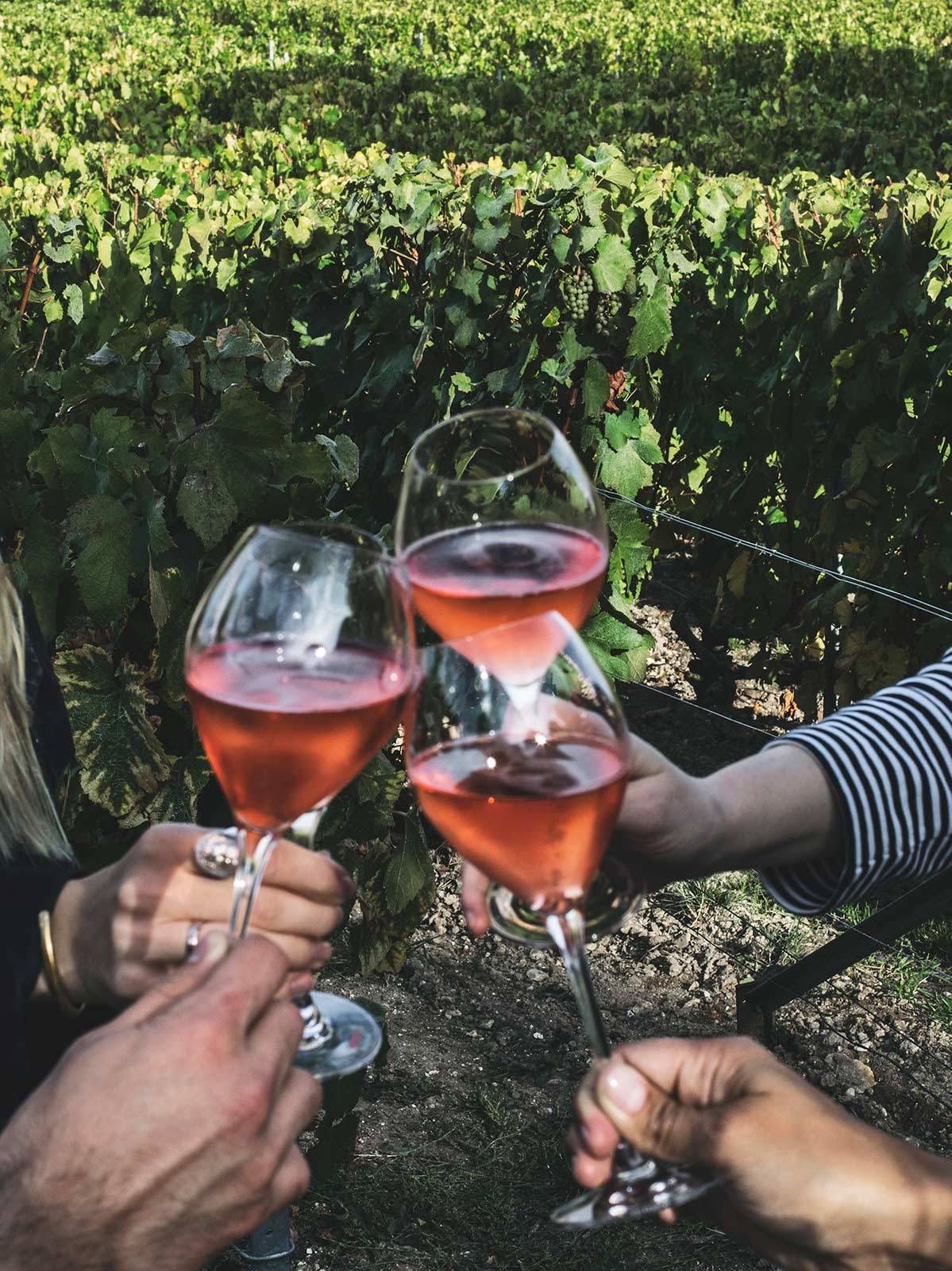 Winnica Veuve Clicquot i degustcja Veuve Clicquot Rosé (Fot. Weronika Ławniczak)