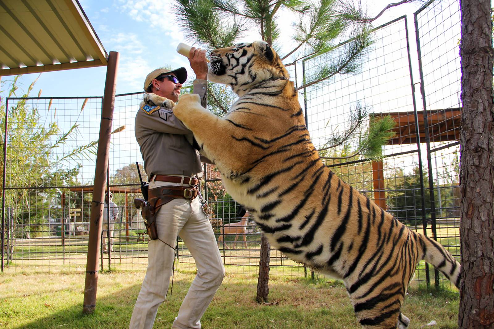 Kadr z serialu Król tygrysów