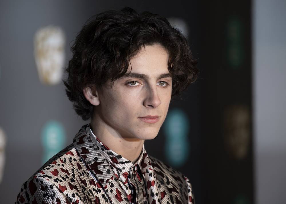 Timothée Chalamet (Fot. Getty Images)