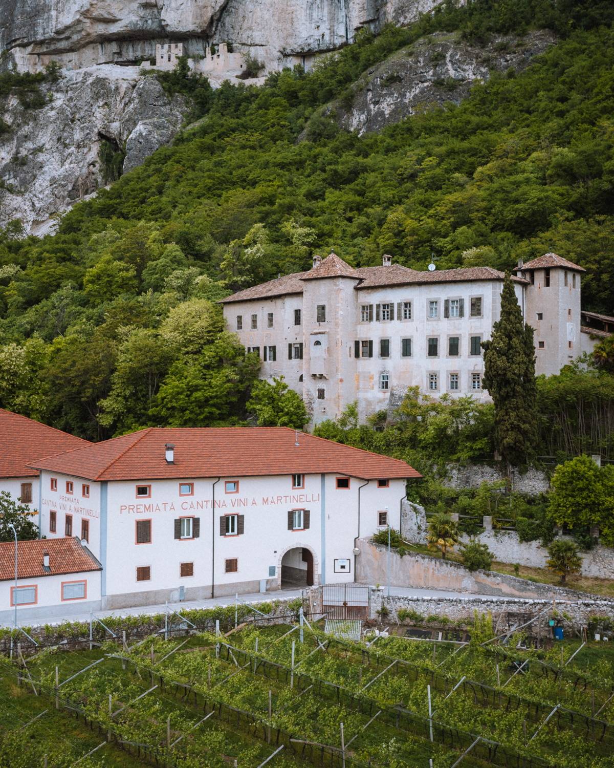 Dlaczego warto pojechać do Trentino. Trentino zachwyca mikroklimatem Alp, rzymską kulturą, a także tradycją winiarską, bo to właśnie tu powstaje słynne wino musujące Trentodoc.