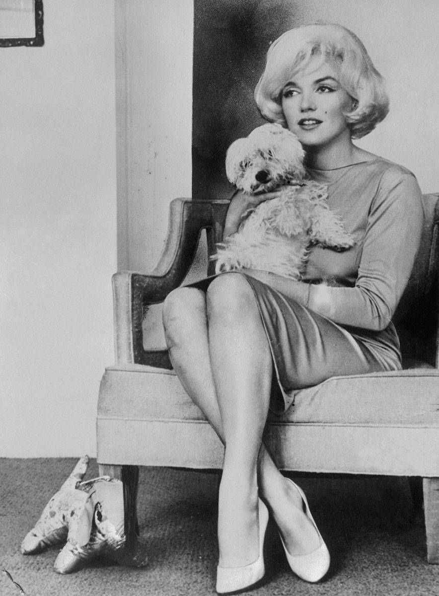 Monroe na zdjęciu w swoich charakterystycznych czółenkach Ferragamo w 1955 roku (Fot. Getty Images)