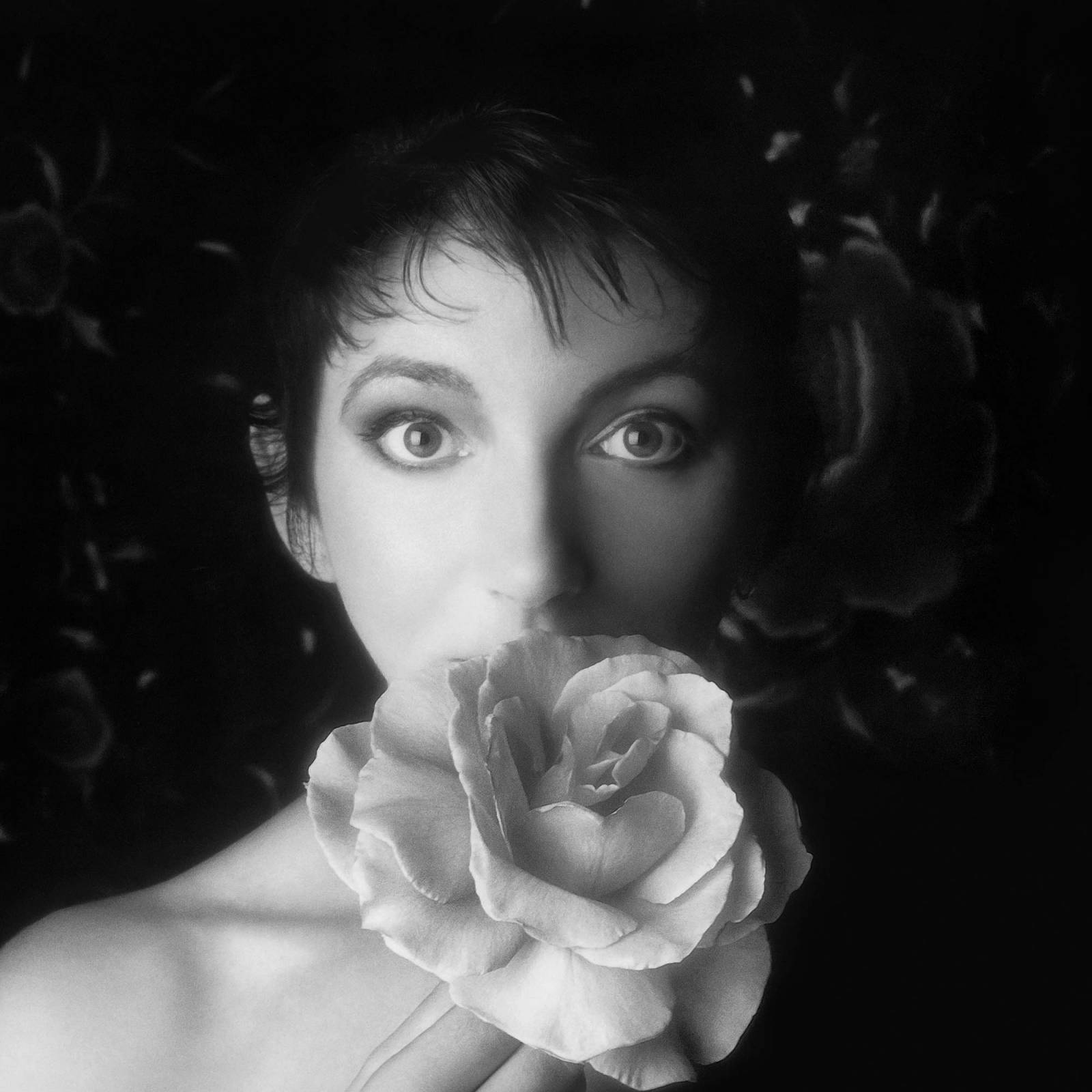 Kate Bush, (Fot. Materiały prasowe)