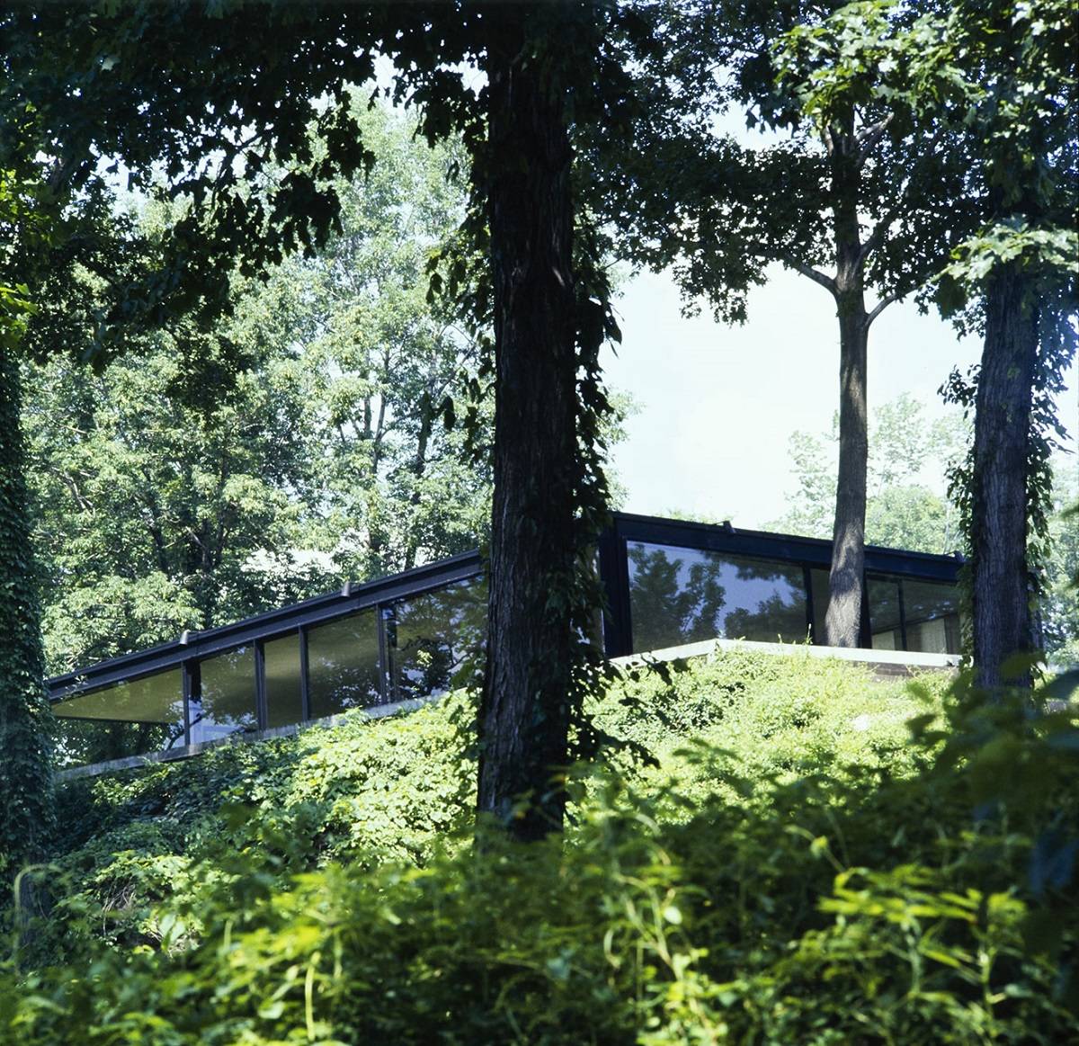 Glass House