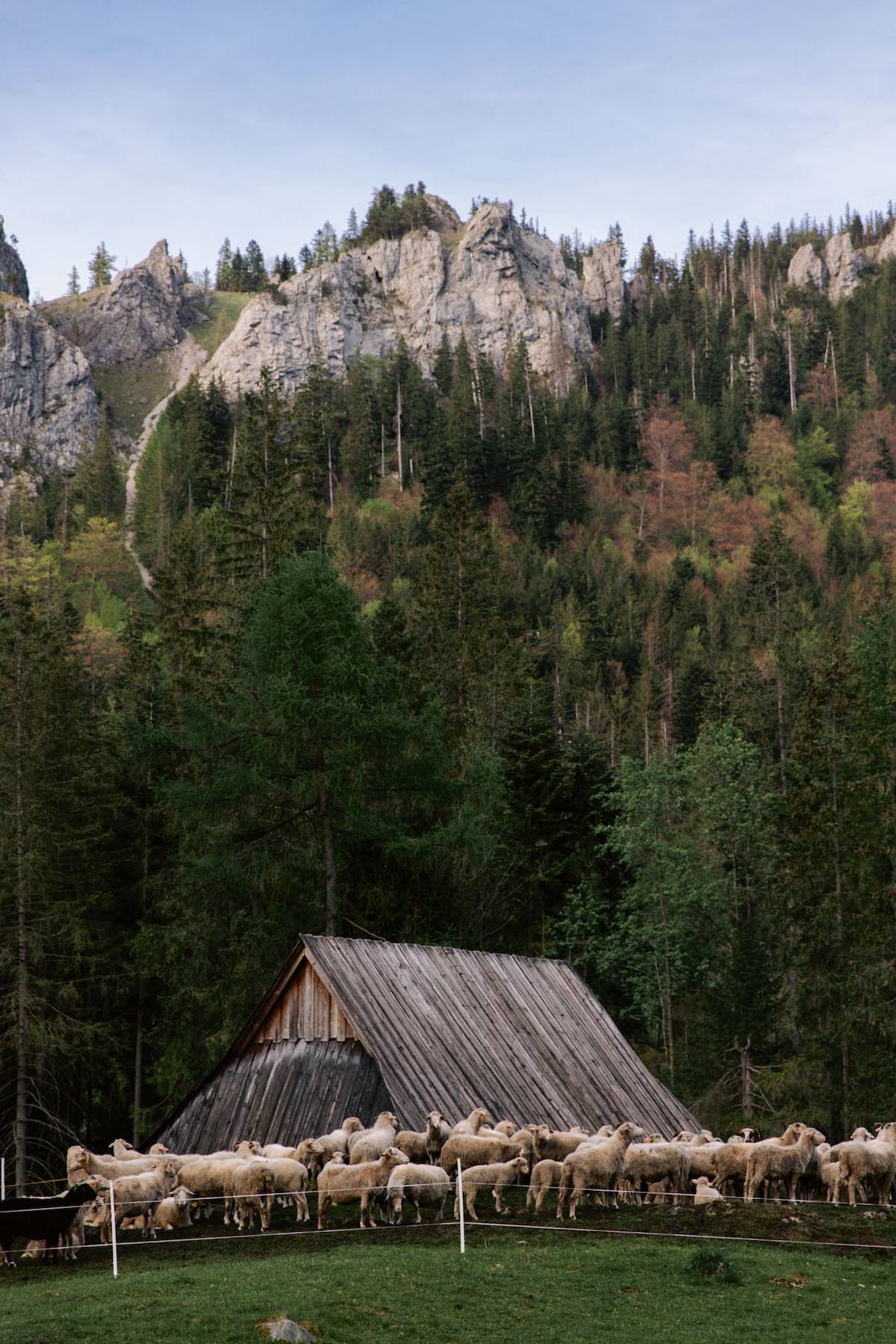 (Fot. Travelicious)