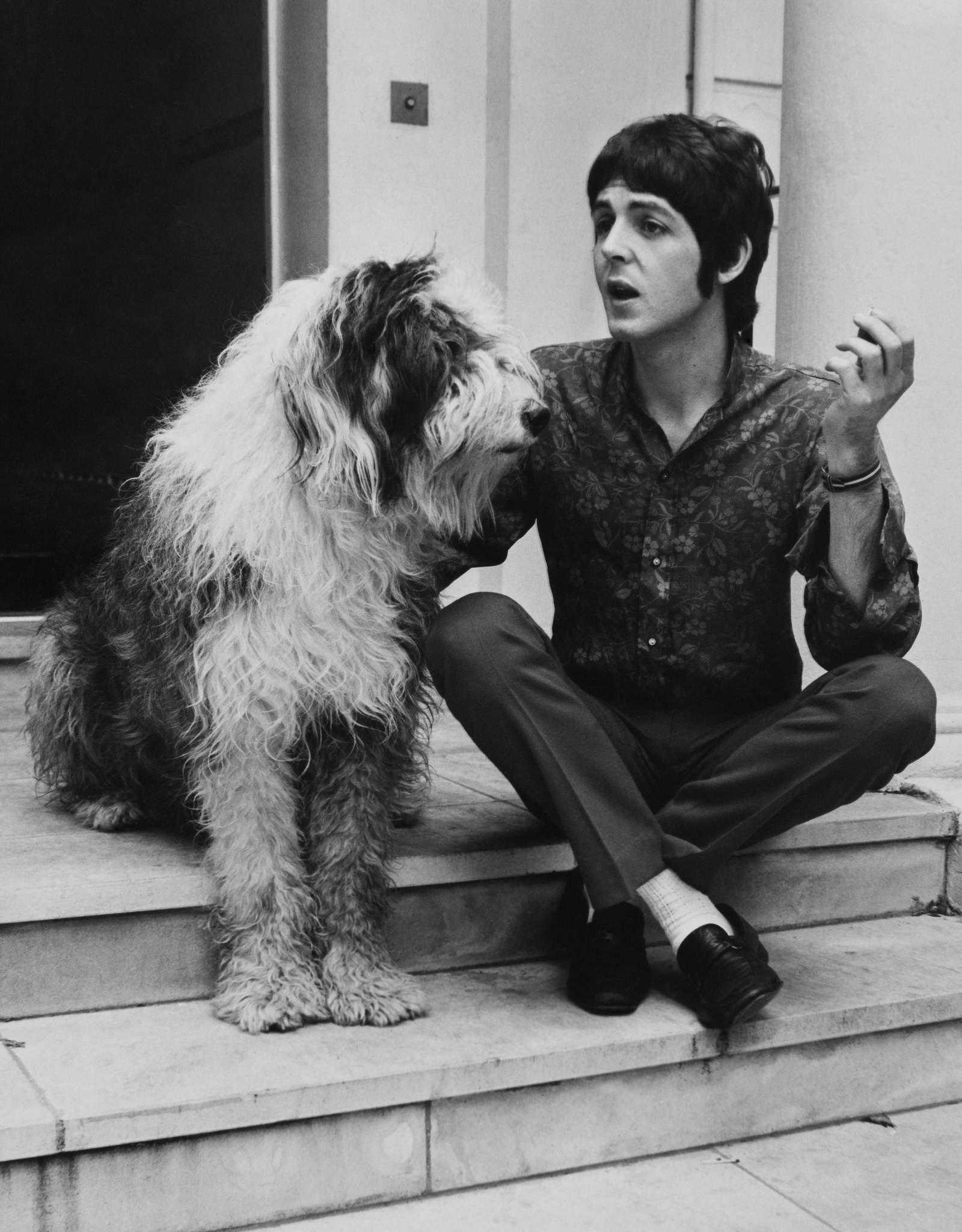 Paul McCartney i suczka Martha / Fot. Getty Images