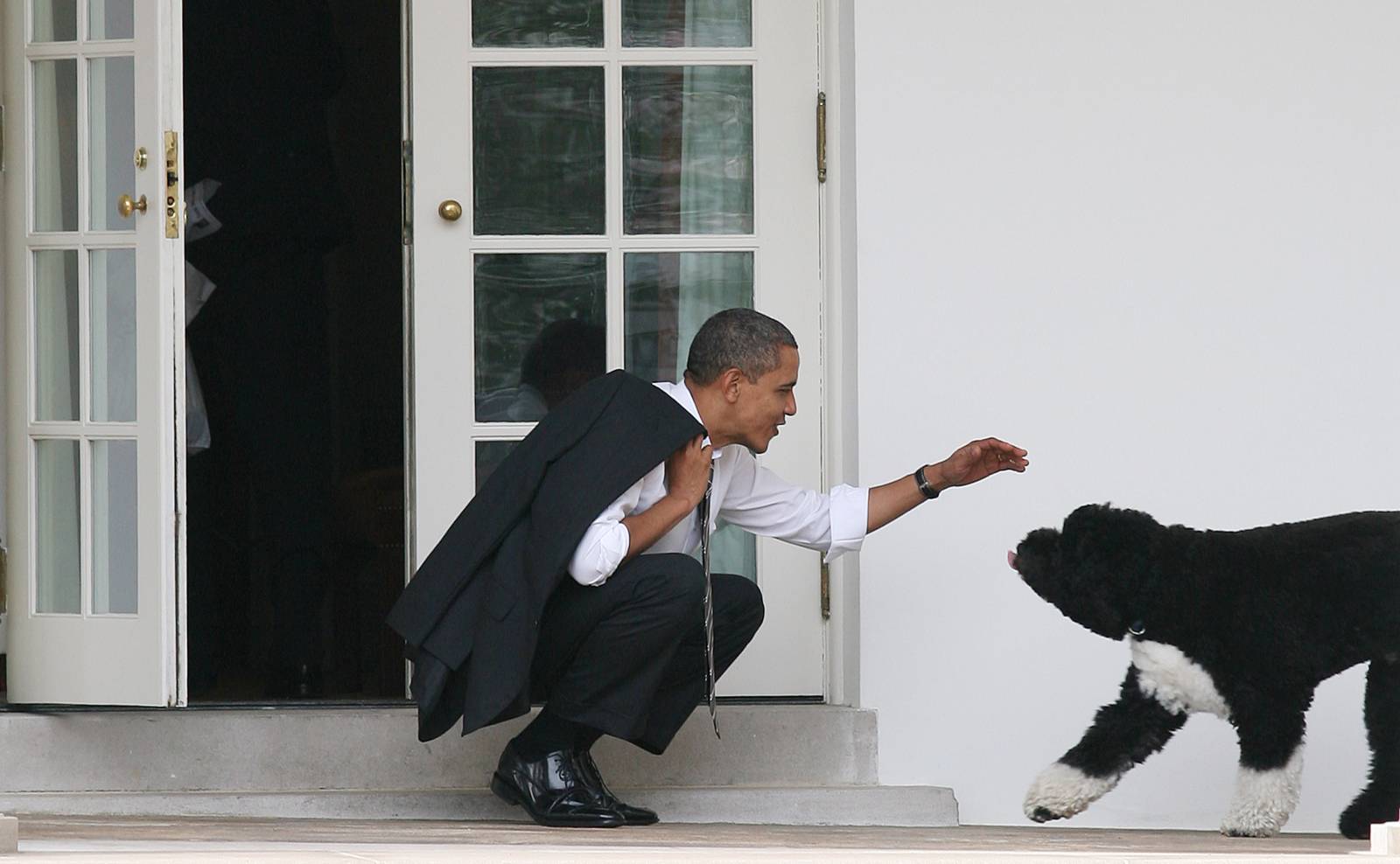 Barack Obama i jego pies Bo / Fot. Getty Images