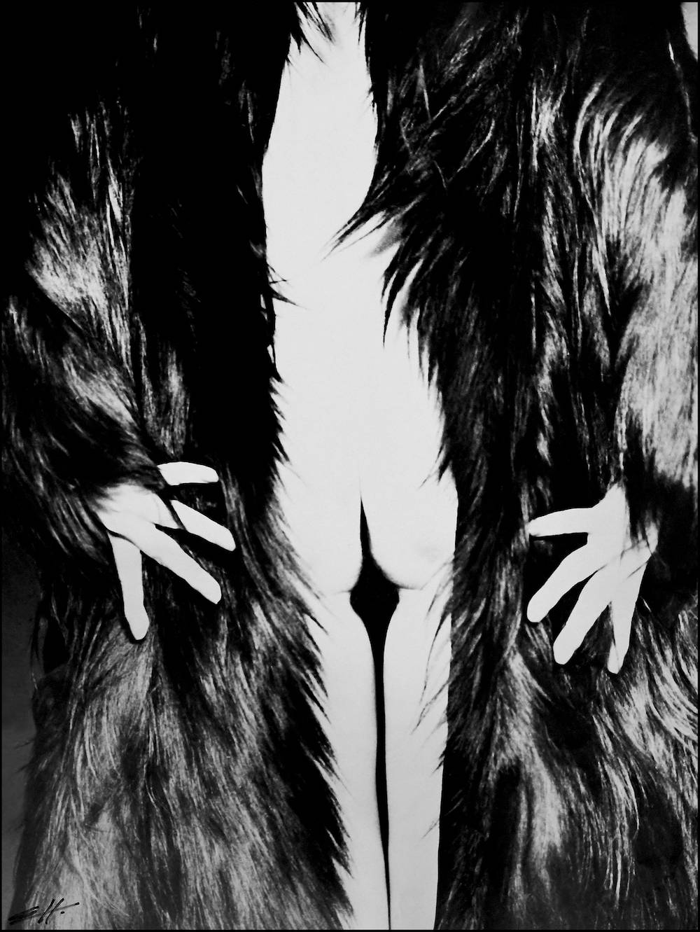 (Fot. Edward Hartwig)